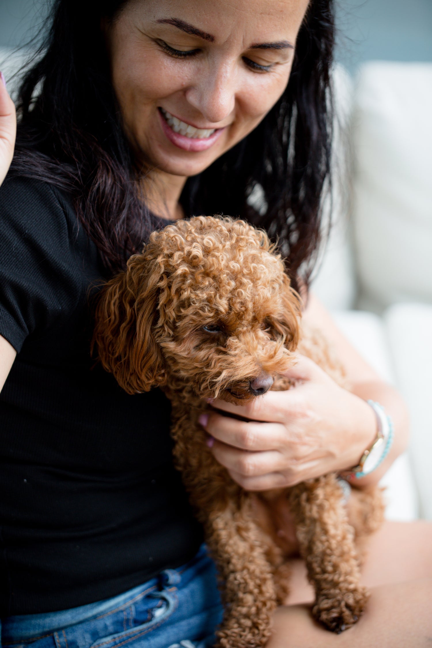 a-fluffy-brown-dog-sits-on-a-persons-lap.jpg